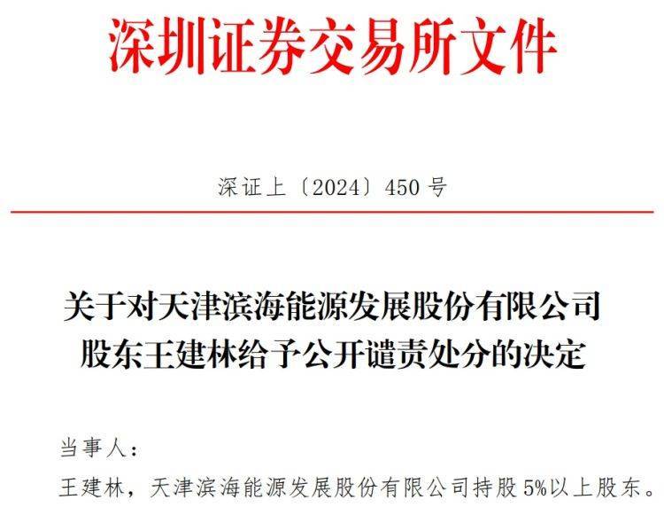 【原创】违规买卖股票且未及时披露<strong></p>
<p>买卖股票</strong>，滨海能源股东再次被深交所公开谴责