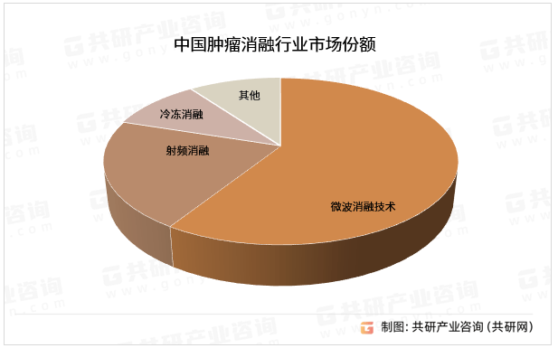 中国肿瘤消融行业深度调研与投资分析报告