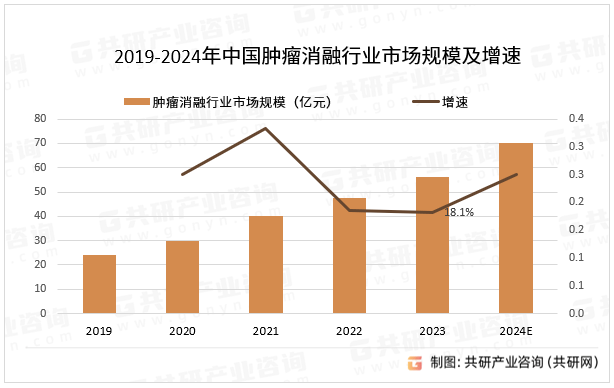 中国肿瘤消融行业深度调研与投资分析报告