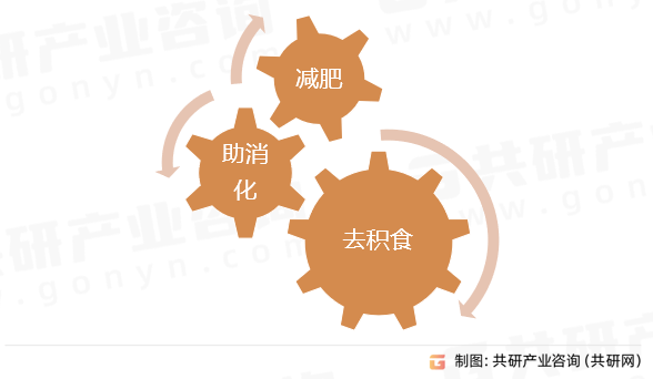 中国清水笋行业全景调查与投资分析报告