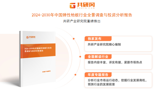 中国弹性地板行业全景调查与投资分析报告
