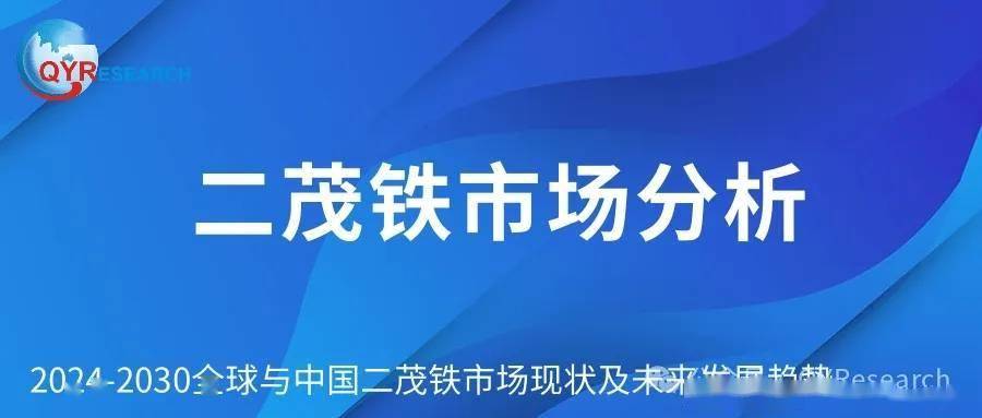 全球二茂铁行业趋势分析及投资机遇分析报告2024