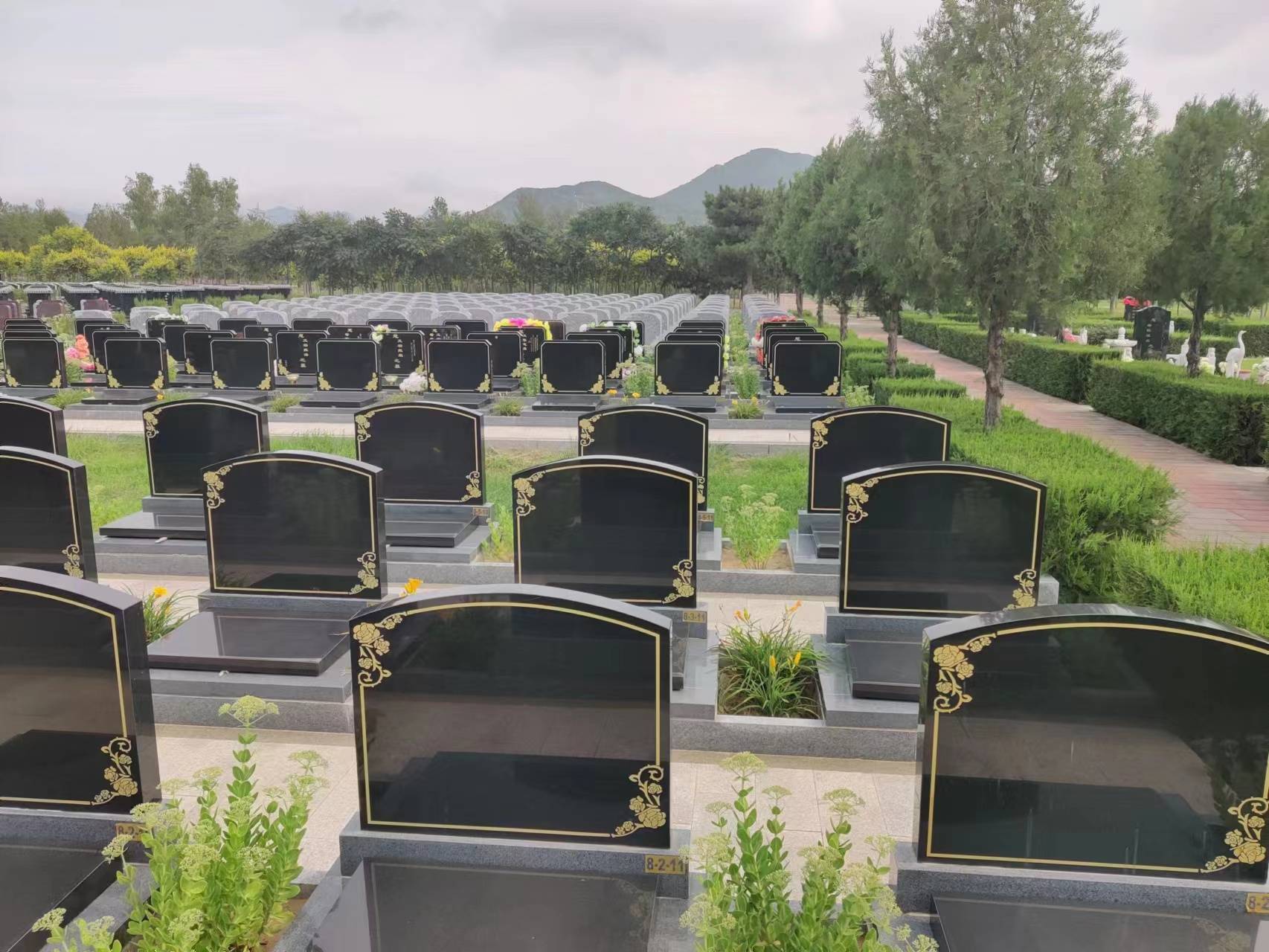 中华永久陵园什么时候开盘的<strong></p>
<p>股票什么时候开盘</strong>？中华永久陵园开盘时间是哪年？