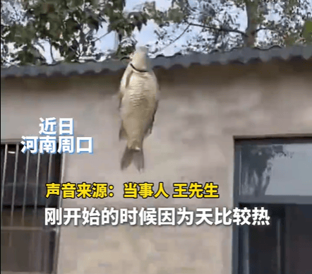 男子在家操控无人机钓鱼<strong></p>
<p>股票行情走势图</strong>，当天就钓上十几条，当事人：不要轻易尝试，已被鱼拉下水十几个无人机