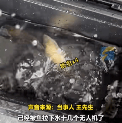 男子在家操控无人机钓鱼<strong></p>
<p>股票行情走势图</strong>，当天就钓上十几条，当事人：不要轻易尝试，已被鱼拉下水十几个无人机