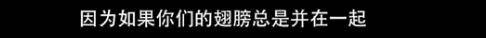 他们那么幸福恩爱<strong></p>
<p>苏宁电器股票</strong>，怎么突然离婚了……