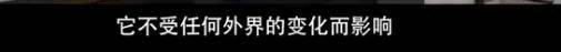 他们那么幸福恩爱<strong></p>
<p>苏宁电器股票</strong>，怎么突然离婚了……