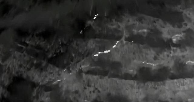 云南“6头野猪从天而降”<strong></p>
<p>贵州茅台股票分析</strong>？实为被猎捕时跳崖 对话野猪“赏金猎人”：干这行不赚钱