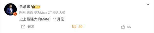 华为Mate 70系列即将发布<strong></p>
<p>股票名词</strong>，余承东称其为“史上最强大的Mate”