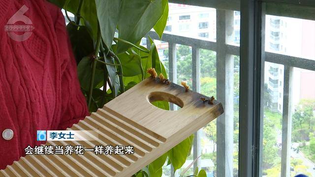 “可以蒸蛋”！昆明一女子家中搓衣板上长菌<strong></p>
<p>低价股票</strong>，品种竟是……