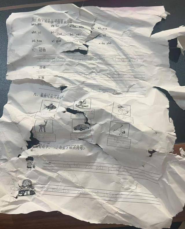 ​晚上回家发现语文作业被扫地机器人“吃”了<strong></p>
<p>低价股票</strong>，杭州小学生陷入纠结