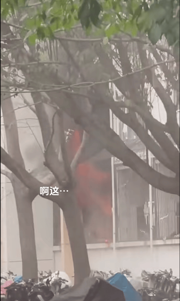 女生宿舍起火<strong></p>
<p>NFT概念</strong>，楼栋闸机成撤离“拦路虎”，警务室：刷脸是为保障安全