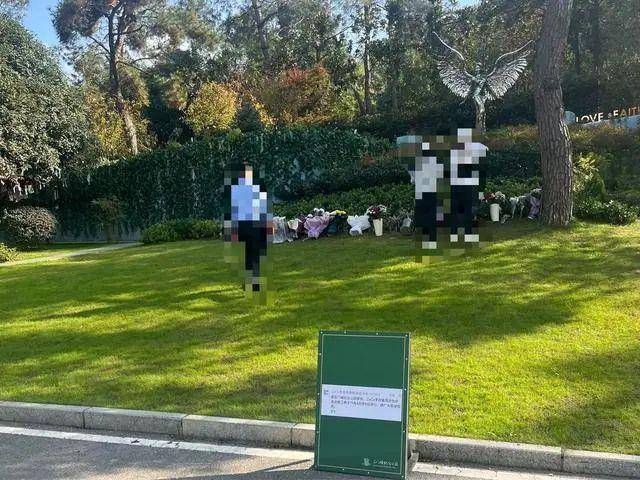 李玟武汉墓地杂草丛生<strong></p>
<p>周杰伦NFT被盗</strong>？其姐姐发文回应