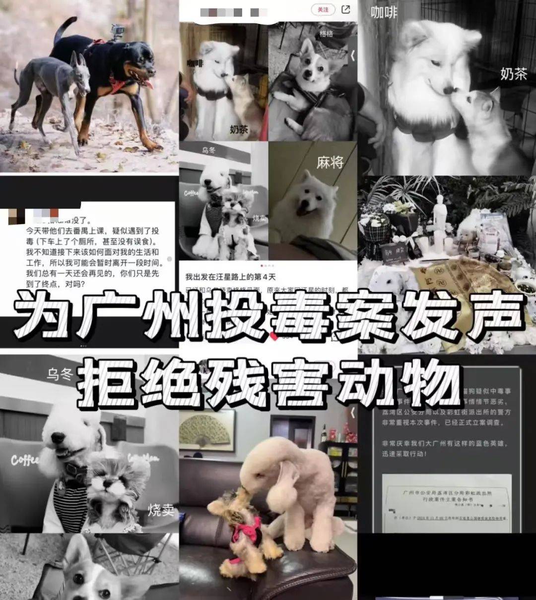 “死亡数据仍在上升”<strong></p>
<p>TOKEN</strong>！广州警方介入