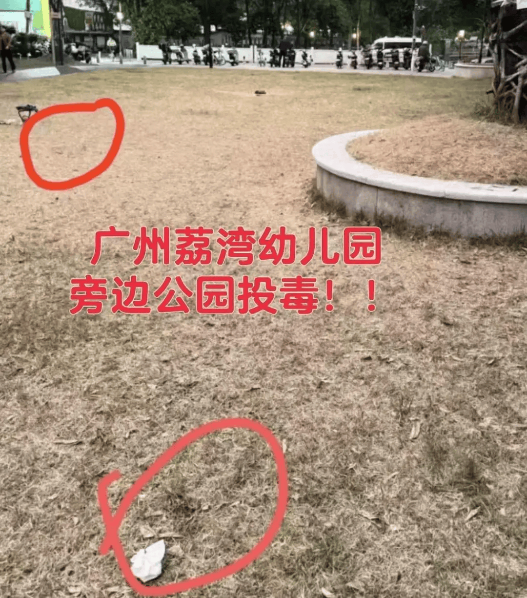 “死亡数据仍在上升”<strong></p>
<p>TOKEN</strong>！广州警方介入