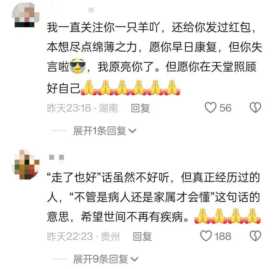 她走了<strong></p>
<p>NFT艺术品交易平台</strong>，年仅29岁！从确诊到离世不到两年