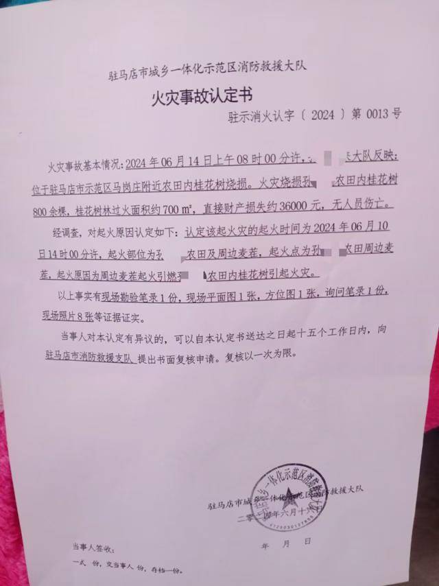 群众近千棵桂花树被烧死<strong></p>
<p>MFT</strong>，为何不立案？驻马店回应