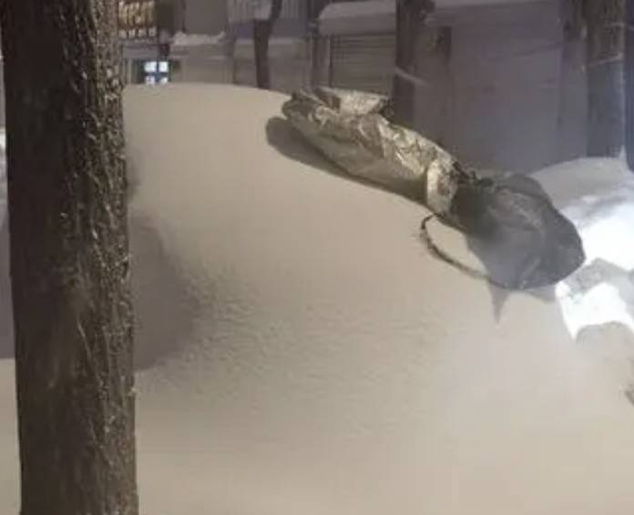 直击黑龙江鹤岗降雪：已破纪录<strong></p>
<p>MFT</strong>，最大积雪深48厘米
