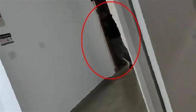 上海一高校男生晚上撞开女生寝室门<strong></p>
<p>唯一艺术平台</strong>，校方：醉酒后走错了