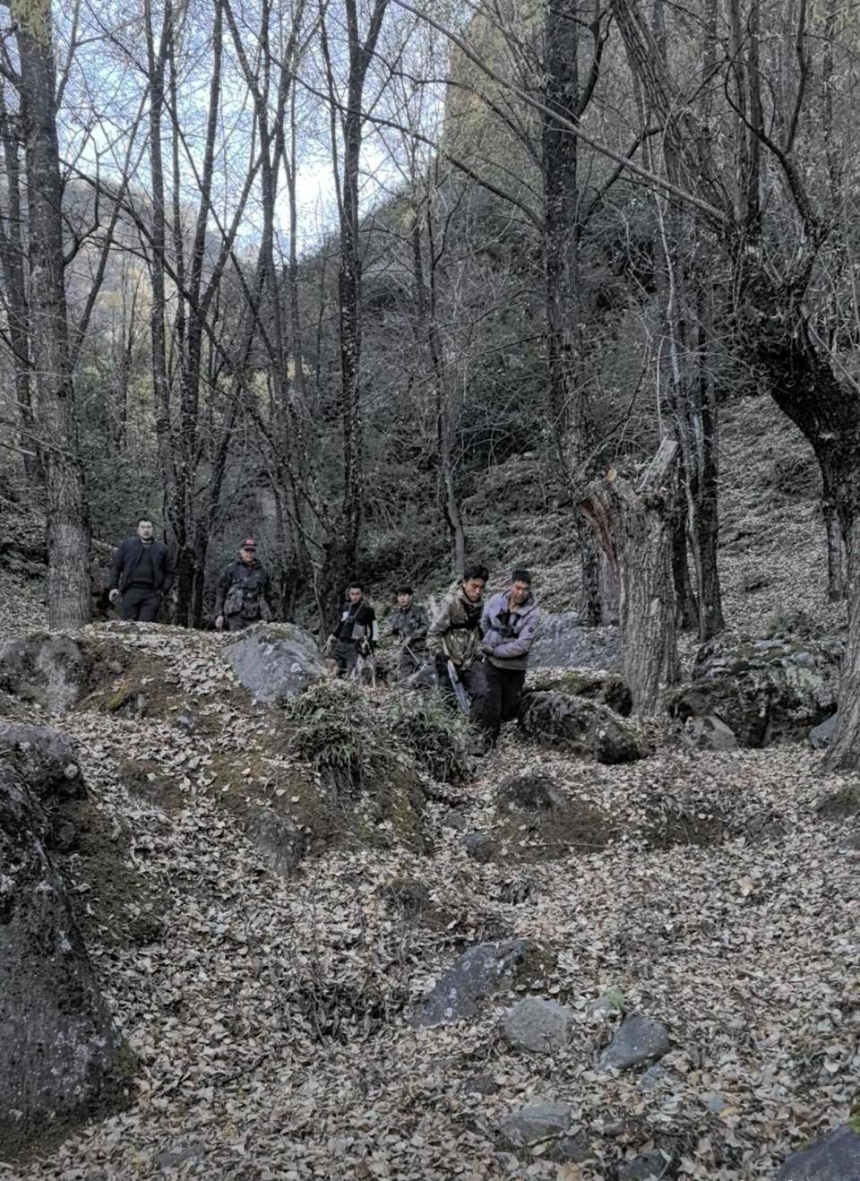 揭秘“野猪猎捕队”丨海拔3000米高山密林<strong></p>
<p>百度超级链数字藏品</strong>，记者跟队直击猎捕野猪全过程