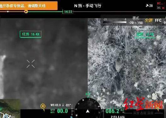 揭秘“野猪猎捕队”丨海拔3000米高山密林<strong></p>
<p>百度超级链数字藏品</strong>，记者跟队直击猎捕野猪全过程