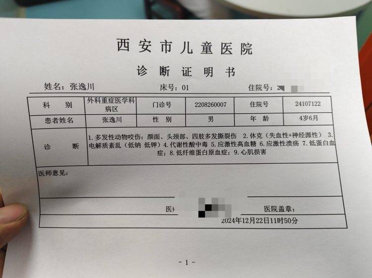 西安4岁男童遭两恶犬袭击重伤<strong></p>
<p>十八数藏</strong>，警方启用无人机搜寻现场