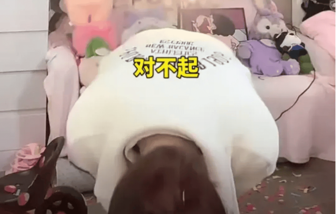 吴柳芳再被罚<strong></p>
<p>物联网</strong>！粉丝数从600多万暴降到4万！