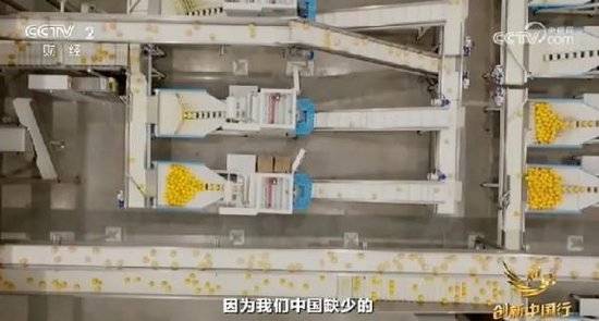 2024年末央视再度专访钟睒睒<strong></p>
<p>大数据</strong>，背后有何深意？