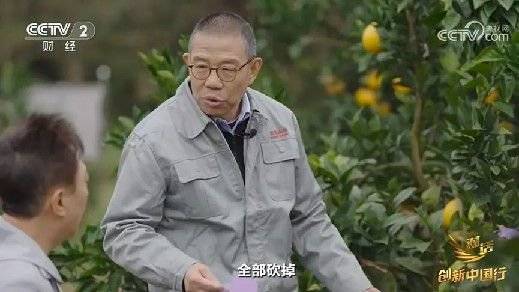 2024年末央视再度专访钟睒睒<strong></p>
<p>大数据</strong>，背后有何深意？