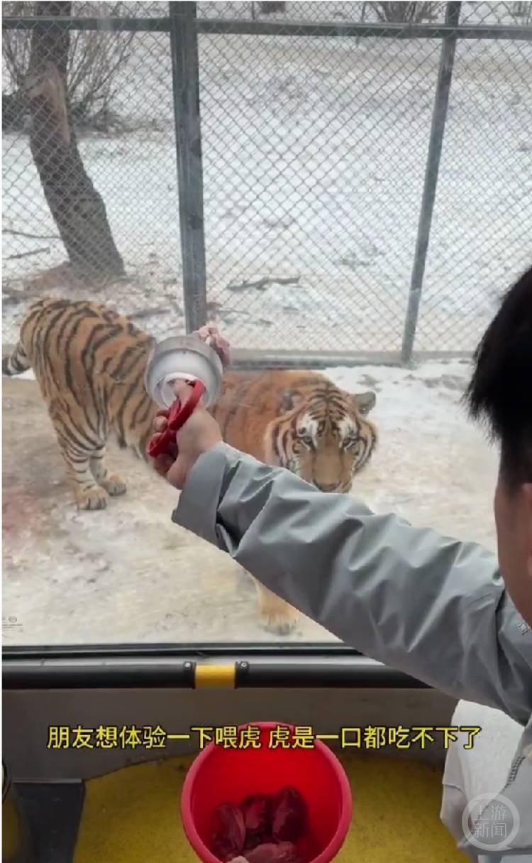 一口都吃不下？“南方小土豆”给哈尔滨的东北虎喂得都走不动道了<strong></p>
<p>去中心化</strong>！
