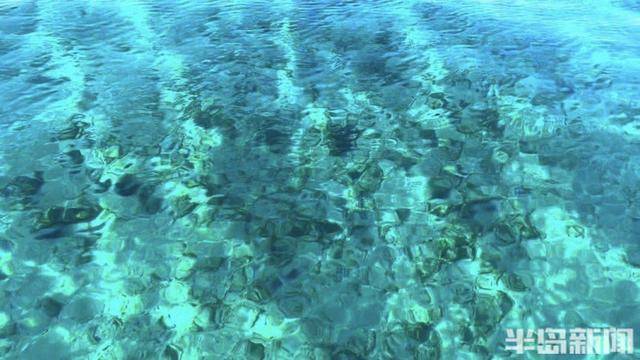 青岛女子买下70万平米小岛后续来了：目前没打算私有<strong></p>
<p>STEPN</strong>，七八月份将带员工到岛上团建