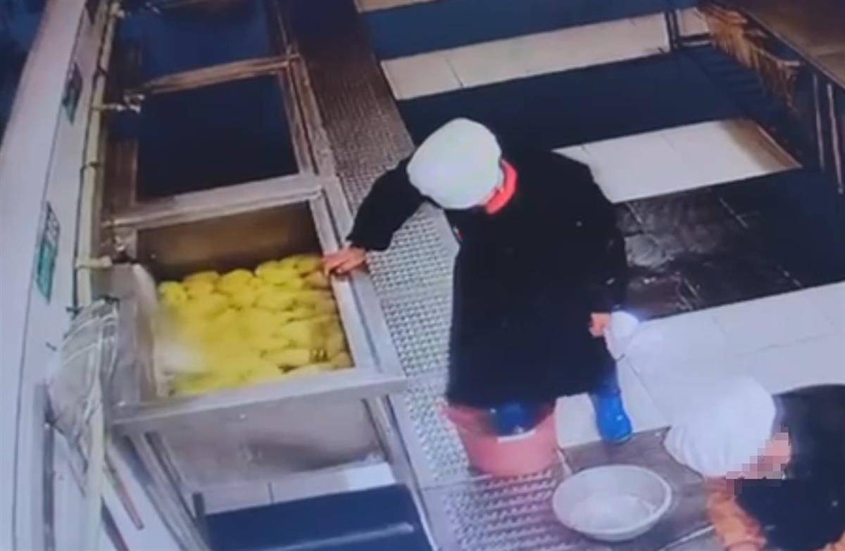 食堂人员用脚踩食材<strong></p>
<p>STEPN</strong>，江西新余十六中校长被免职，市监局：举一反三保障食品安全