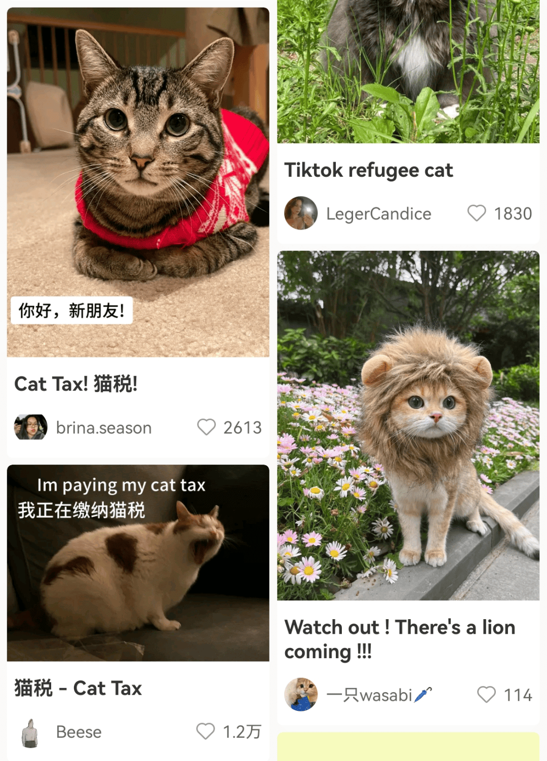 大量外国网友涌入小红书<strong></p>
<p>投资趋势</strong>，网友喊话：别下载拼多多，等我邀请你