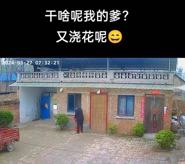 “原来年兽是我自己”<strong></p>
<p>DAO</strong>，监控记录下中国人过年的聚散：像做了一场热闹的梦