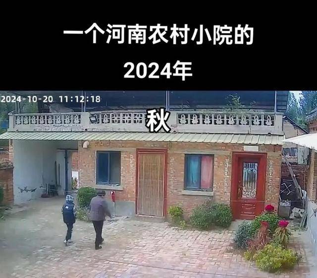 “原来年兽是我自己”<strong></p>
<p>DAO</strong>，监控记录下中国人过年的聚散：像做了一场热闹的梦