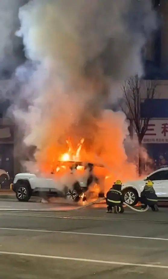 10岁娃点烟花烧毁40多万新车<strong></p>
<p>opensea</strong>，家长无力赔偿，车主：又订一辆新的