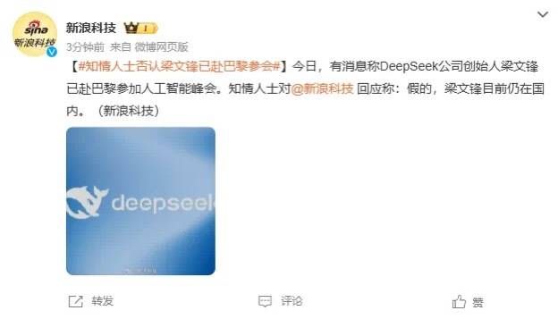 DeepSeek梁文锋用黑科技远程参加巴黎AI峰会？假的<strong></p>
<p>Foundation</strong>！