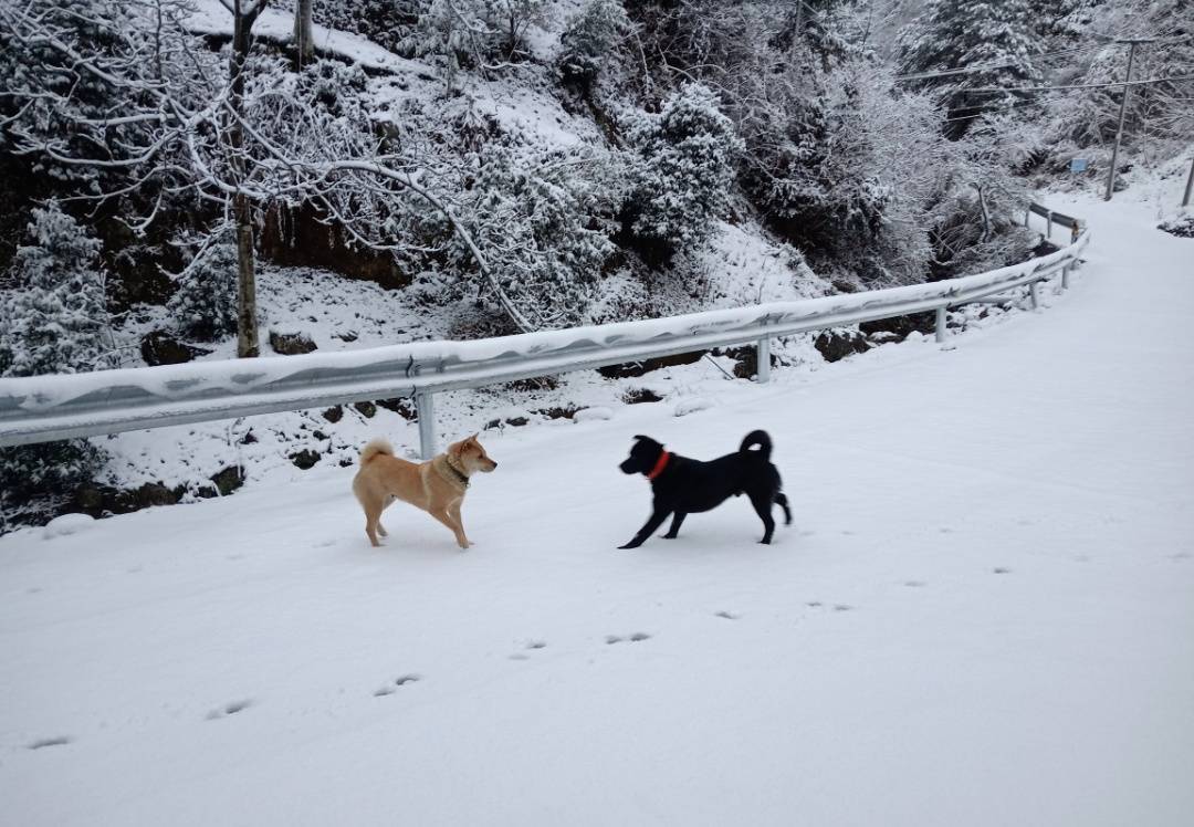 零下7℃<strong></p>
<p>币安下载官方app</strong>！大到暴雪！刚刚确认：杭州又来一波猛的！周末出门千万注意.....
