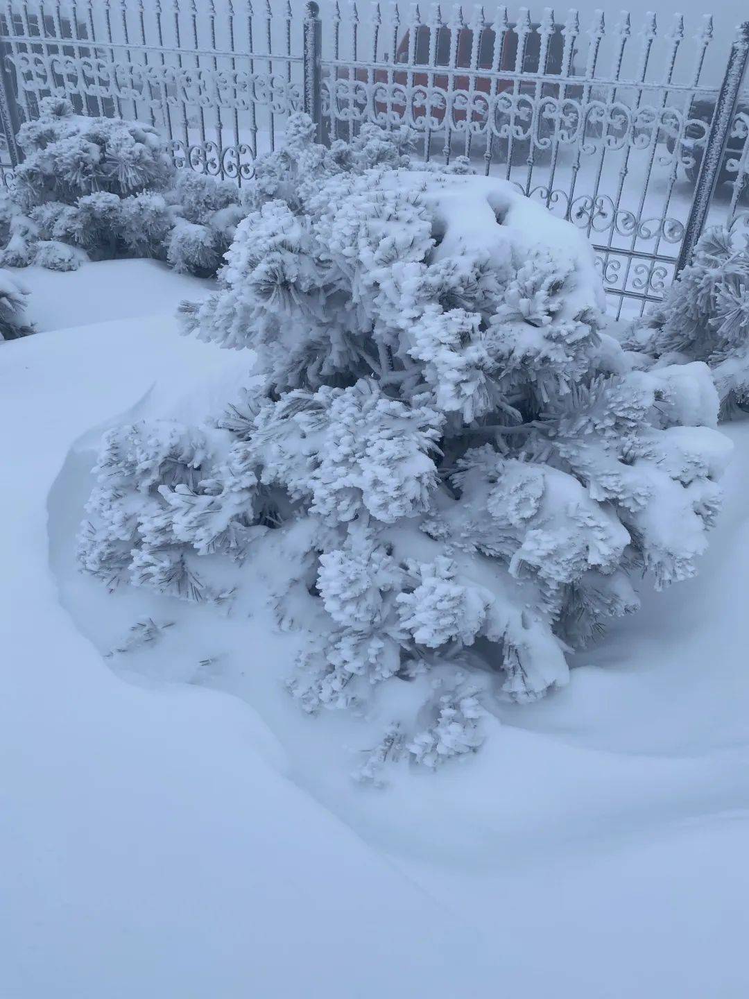 零下7℃<strong></p>
<p>币安下载官方app</strong>！大到暴雪！刚刚确认：杭州又来一波猛的！周末出门千万注意.....