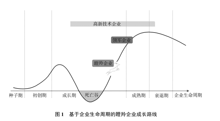 政府工作报告中的新词“瞪羚企业”<strong></p>
<p>BNB币安币交易平台</strong>，是什么意思