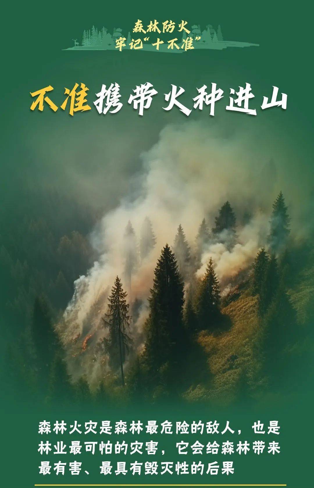 已致4名消防员遇难<strong></p>
<p>周大福黄金</strong>！多地进入“灾难状态”