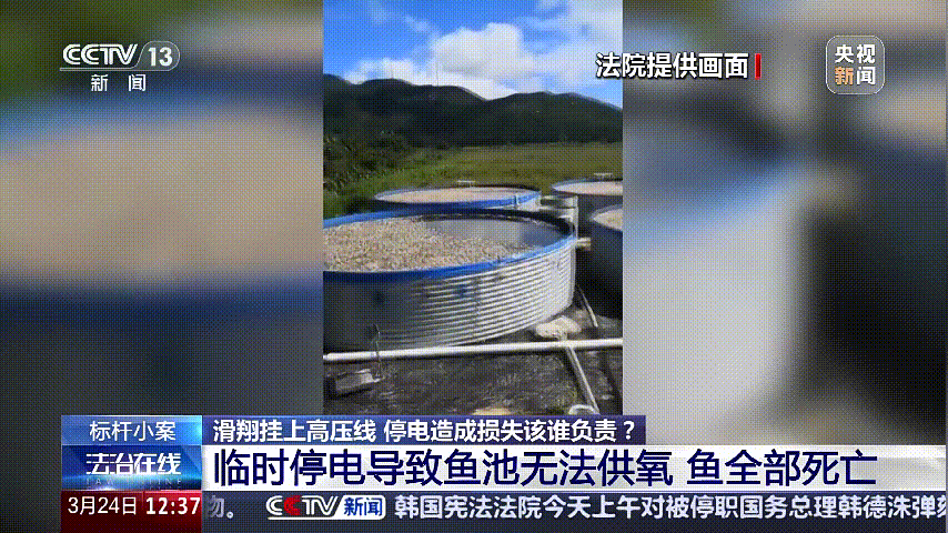 深圳女子被挂高压线！停电救援<strong></p>
<p>周大福股票</strong>，9池鱼死光！他怒上法庭……