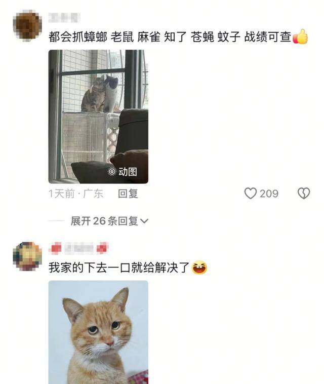 老鼠掉进泳池<strong></p>
<p>周大福股票</strong>，广东大叔出动鸡猫狗团队，结果全被老鼠吓跑！网友坐不住纷纷晒战绩