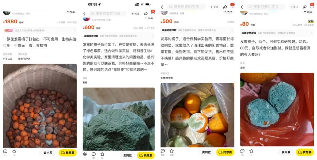 突然火了<strong></p>
<p>周大福珠宝</strong>！有人卖500元一个！网友：后悔扔了……
