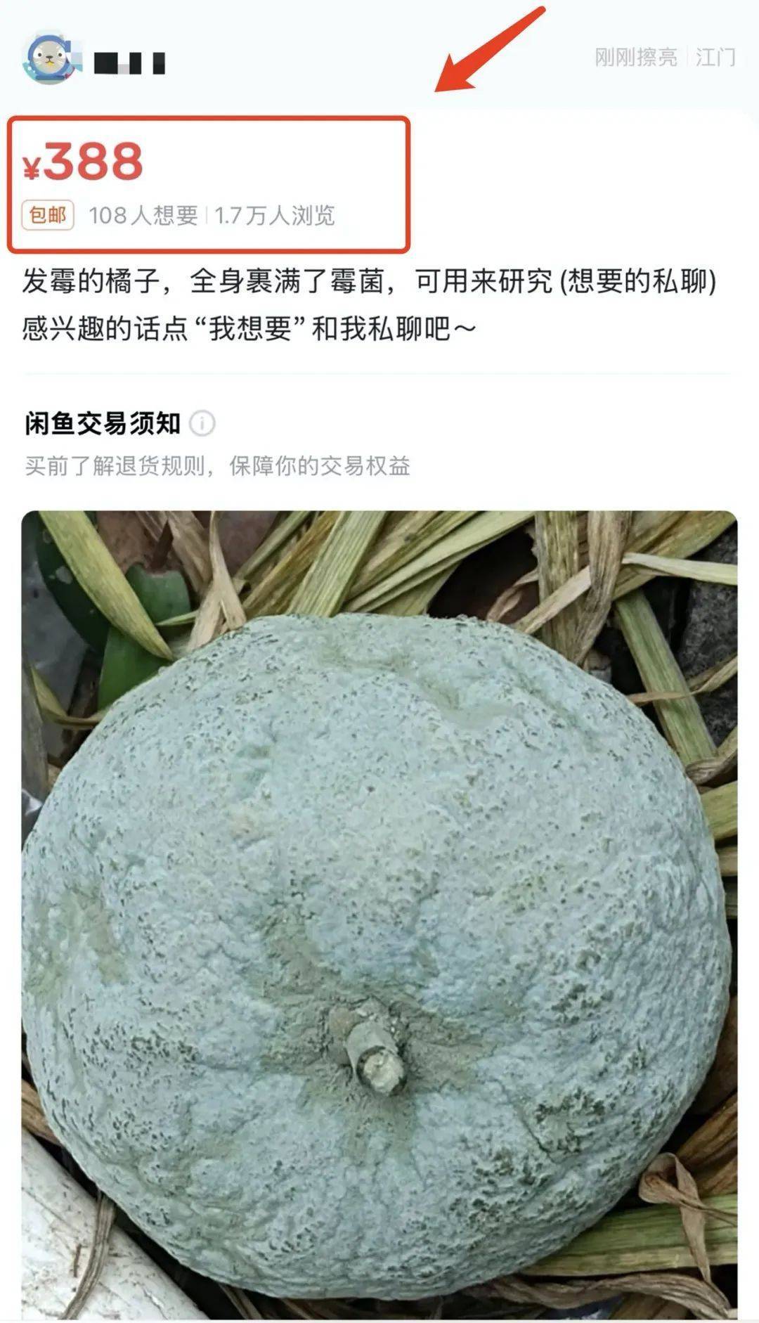 突然火了<strong></p>
<p>周大福珠宝</strong>！有人卖500元一个！网友：后悔扔了……