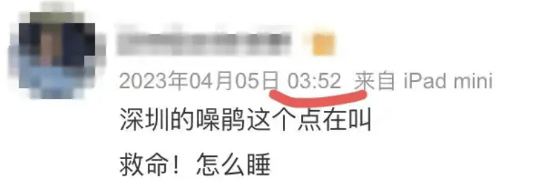 “周末想睡个懒觉都不行”<strong></p>
<p>房产证</strong>,有多少深圳人被这种鸟吵到神经衰弱