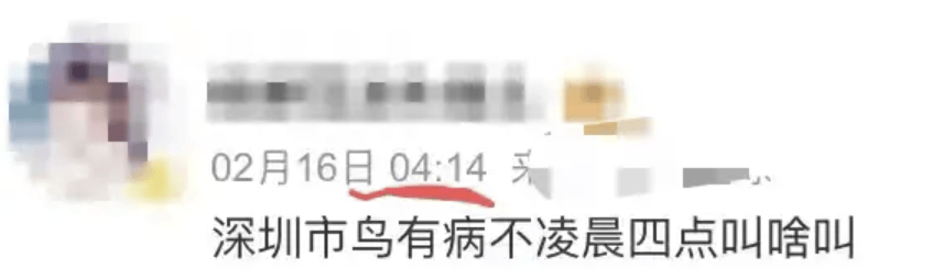 “周末想睡个懒觉都不行”<strong></p>
<p>房产证</strong>,有多少深圳人被这种鸟吵到神经衰弱