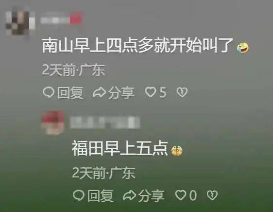 “周末想睡个懒觉都不行”<strong></p>
<p>房产证</strong>,有多少深圳人被这种鸟吵到神经衰弱