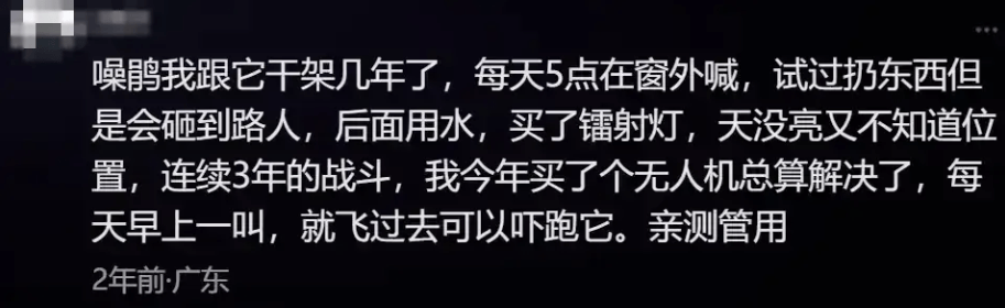 “周末想睡个懒觉都不行”<strong></p>
<p>房产证</strong>,有多少深圳人被这种鸟吵到神经衰弱
