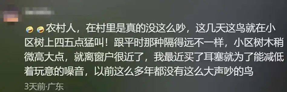 “周末想睡个懒觉都不行”<strong></p>
<p>房产证</strong>,有多少深圳人被这种鸟吵到神经衰弱